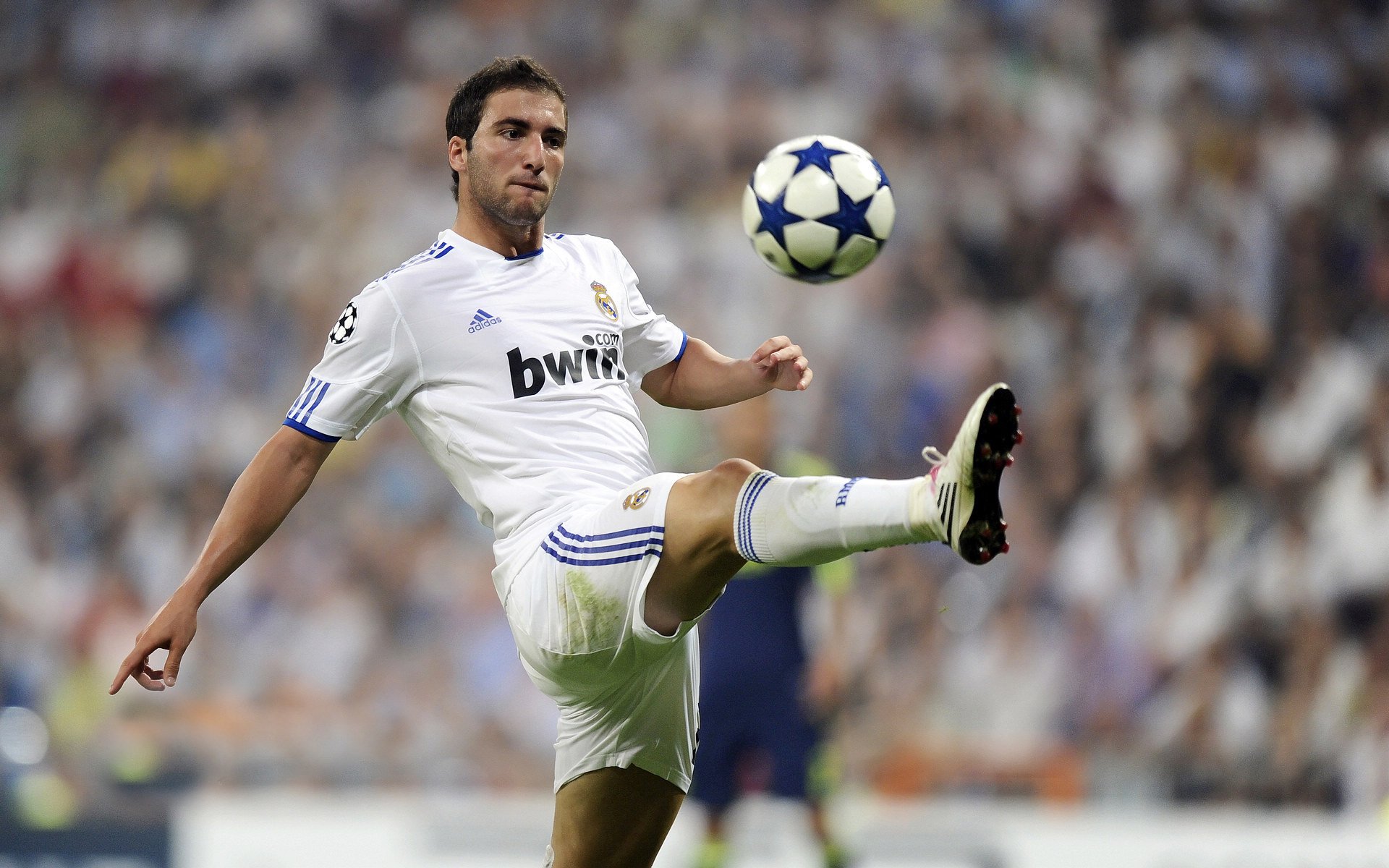 安提瓜足球青训课程吸引大量青少年，安提瓜是什么洲