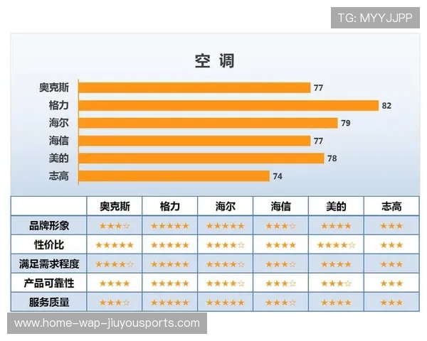新闻中心全程追踪客户满意度调研报告增强资本市场信心，请简述客户满意度调查的主要活动及工作流程